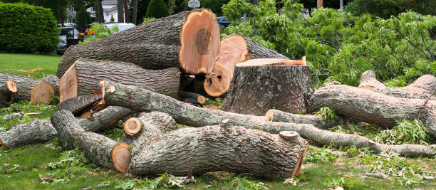 Rock Springs, WY Tree Services Company